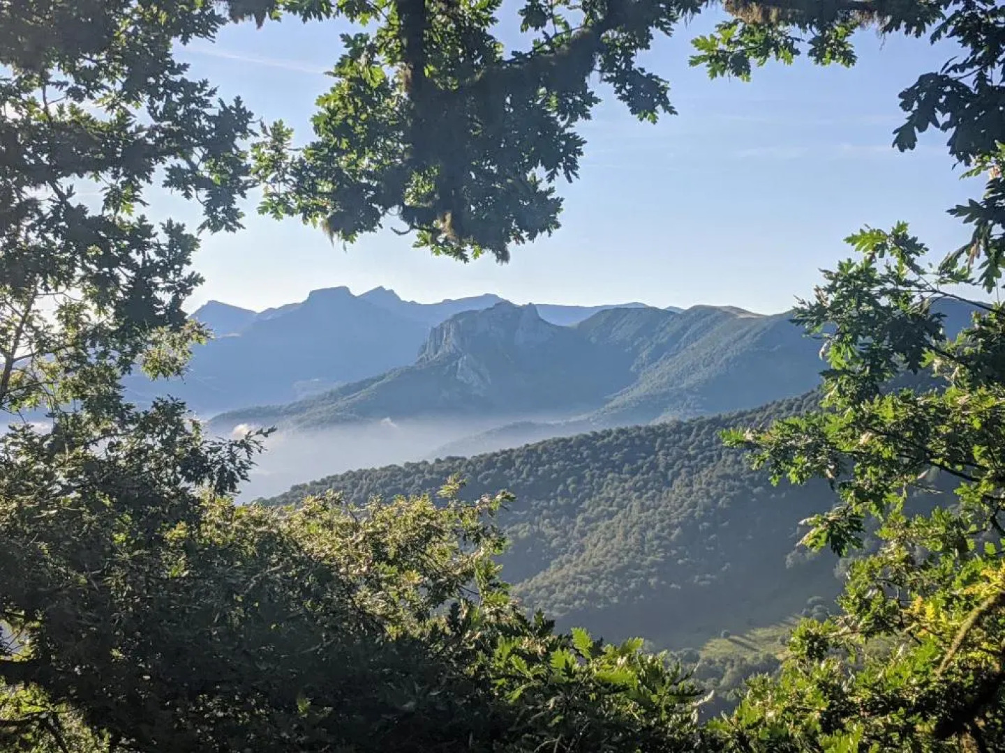 Apartamento Olmares Picos de Europa - 4 personas