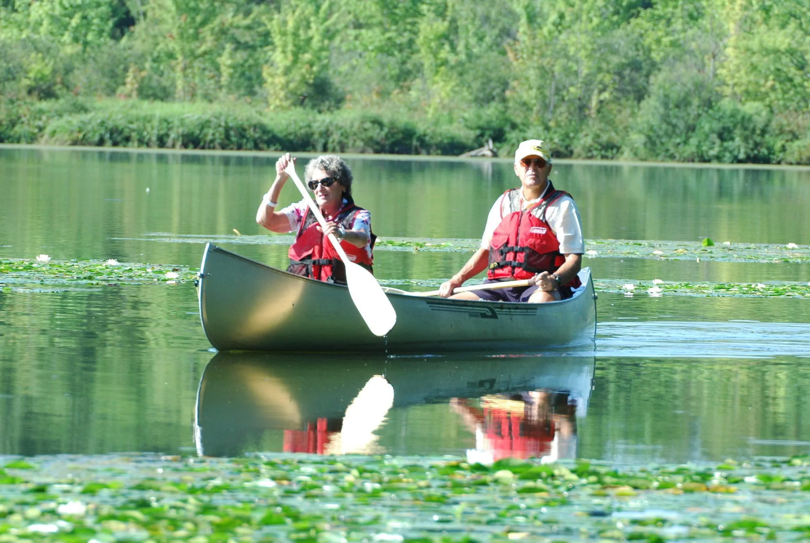 Forest Motel & Woodland Retreat