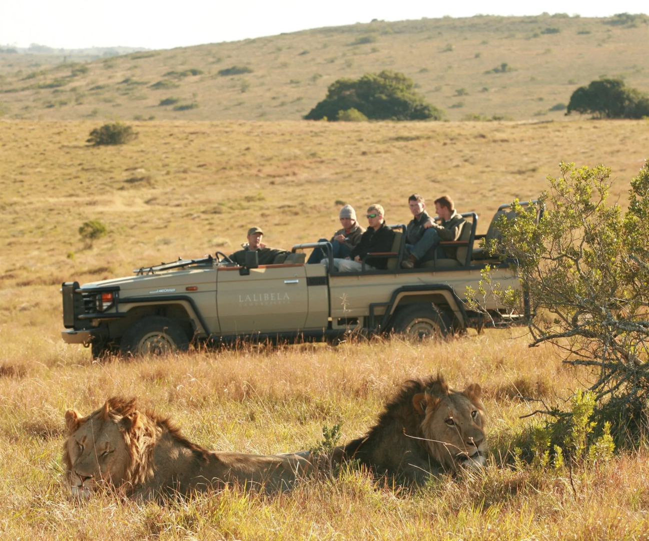 Lalibela Game Reserve
