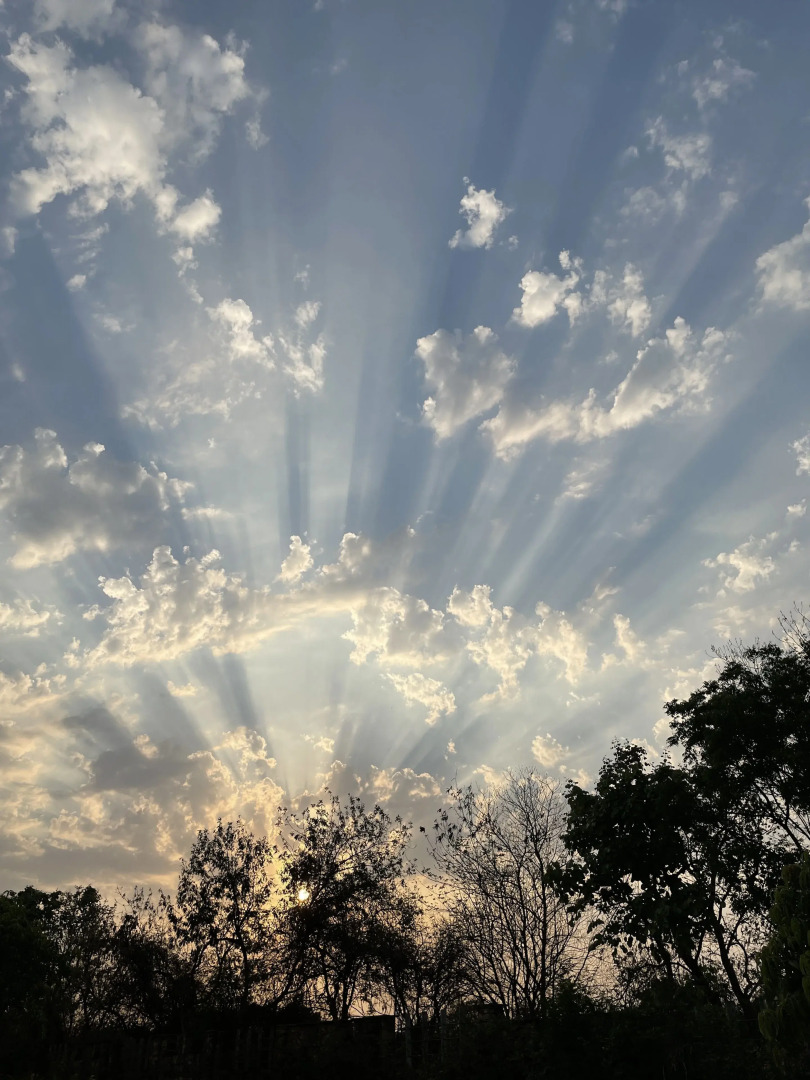 The Postcard Gir Wildlife Sanctuary