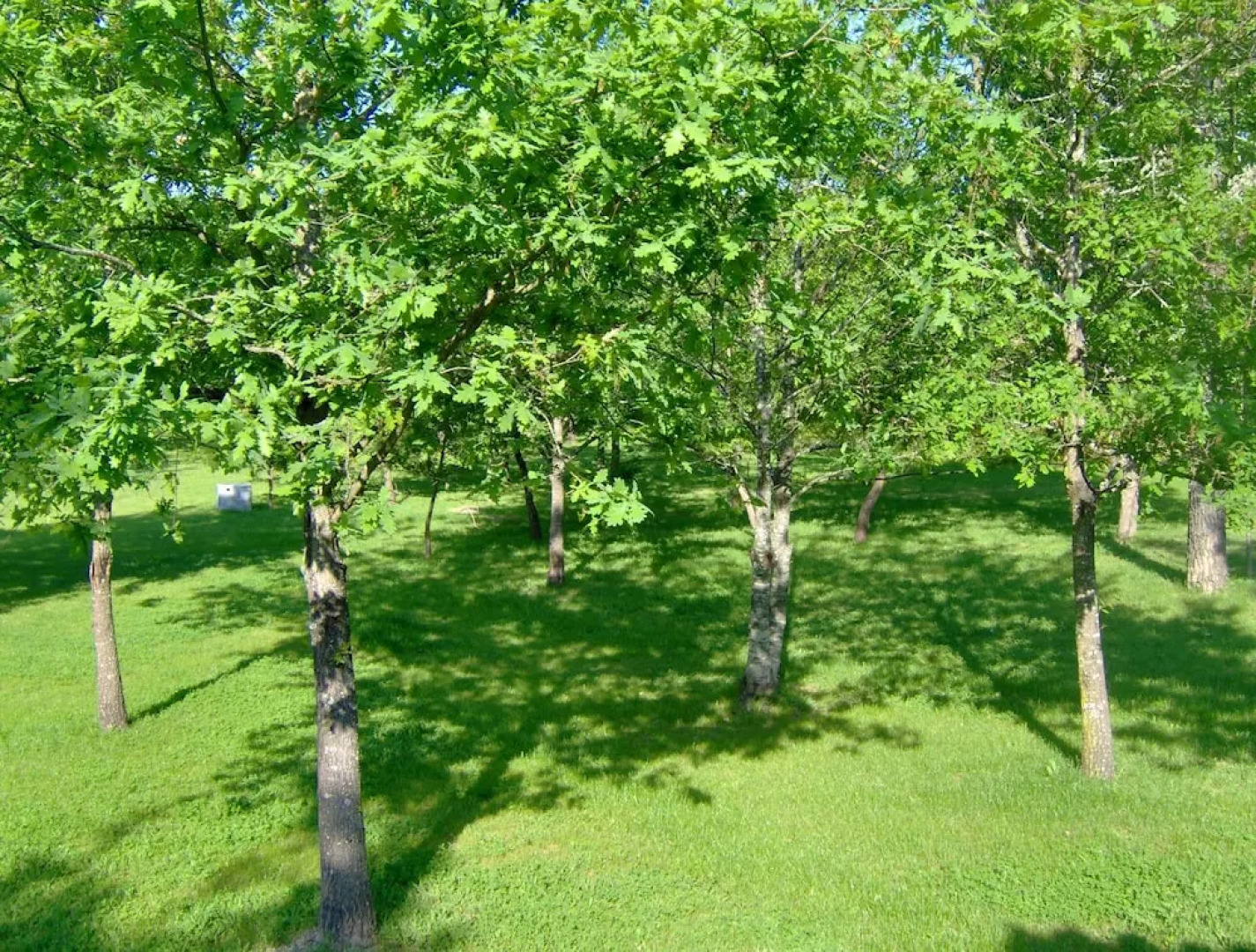 Room-paradise is Real at Vale Martinho R