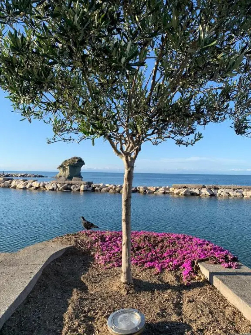 villa martina suite apartament