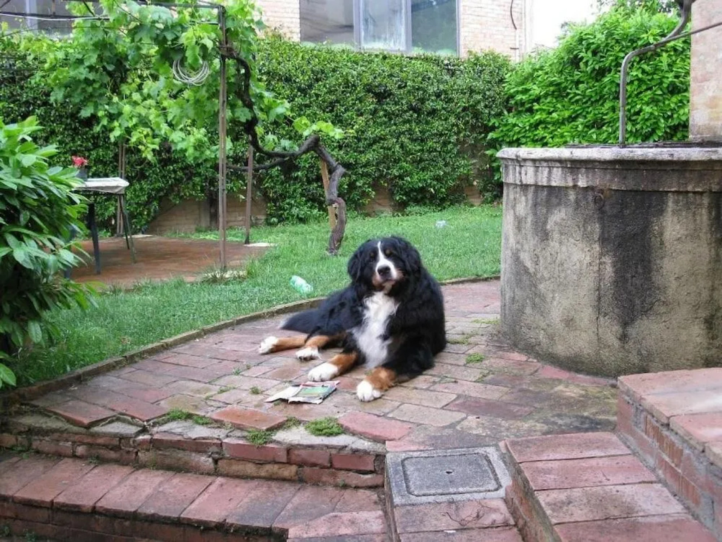 Il Pozzo di Sant'Andrea