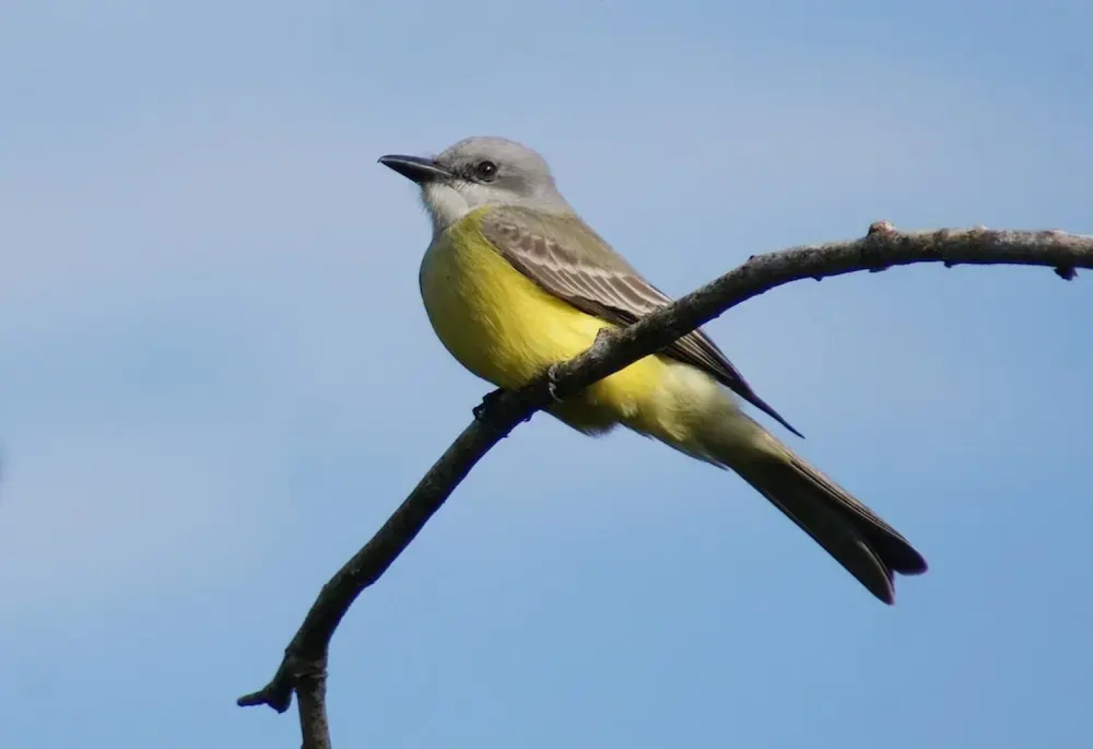 Mini Pini Birdwatching and Cenote Loft4 you Only