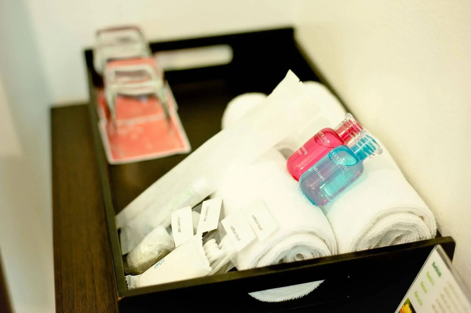 The Mantrini Chiang Rai