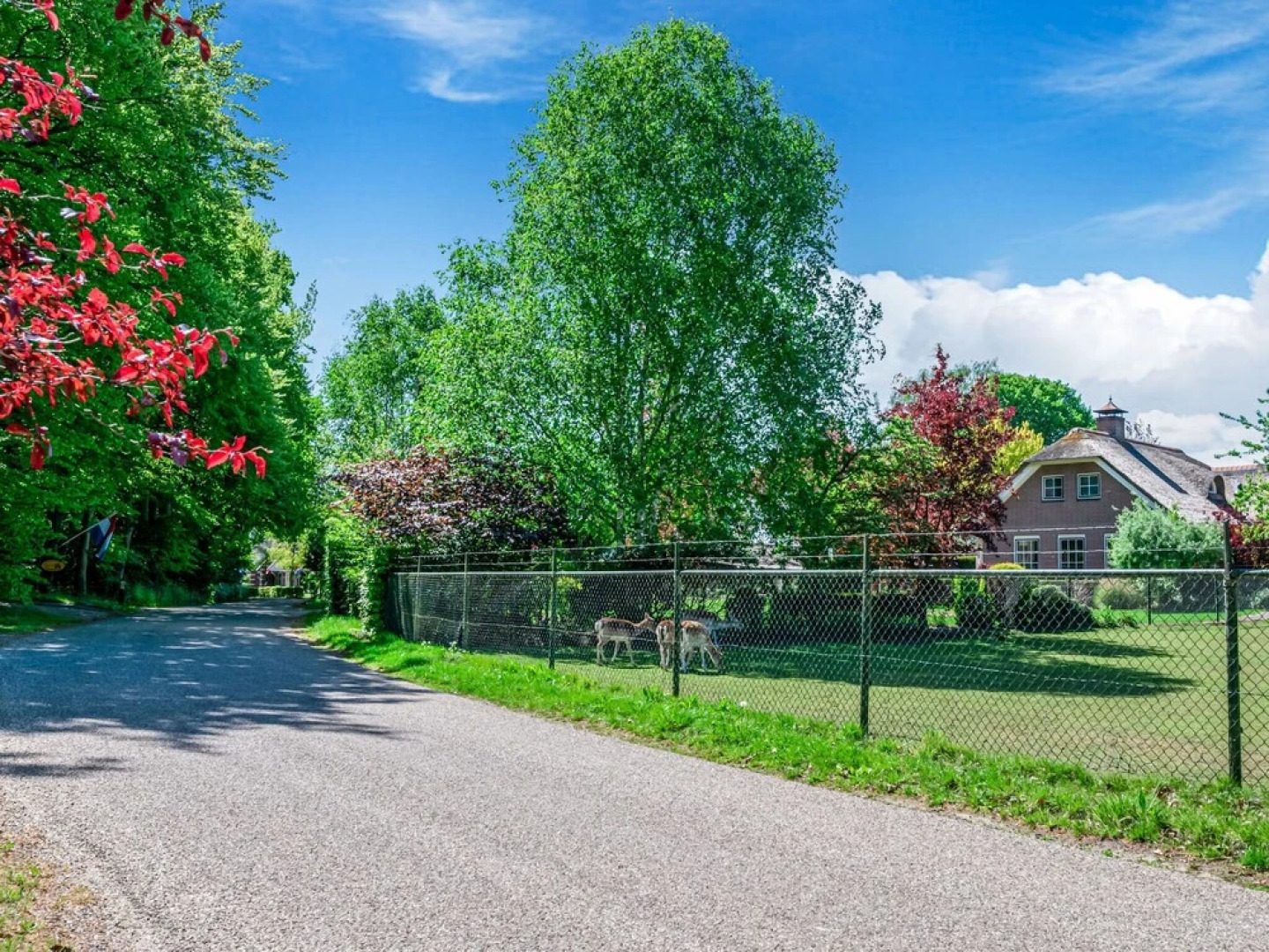 Serene Holiday Home in Ermelo with Large Furnished Garden