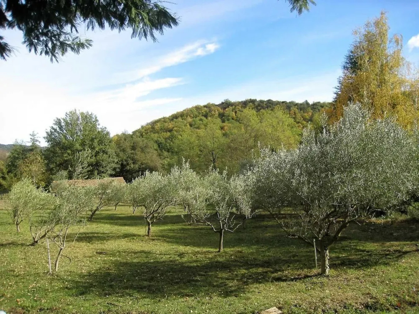 Les gîtes du Moulin de la Passere
