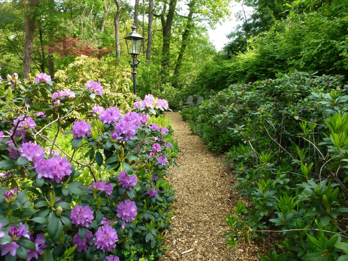 Vakantiewoning Salland