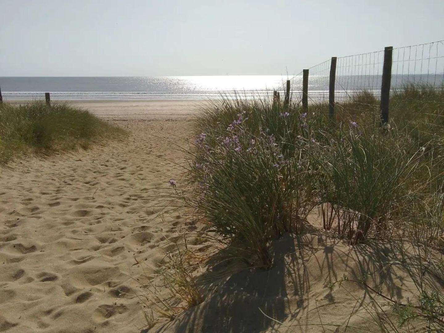 Gîte Notre-Dame-de-Monts, 3 pièces, 4 personnes - FR-1-426-423