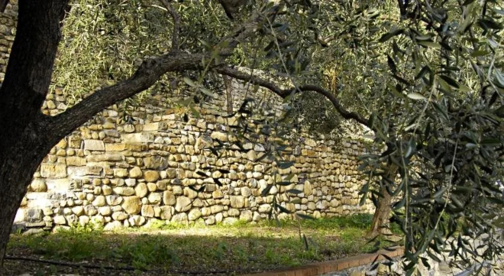 Residenza Costarossa