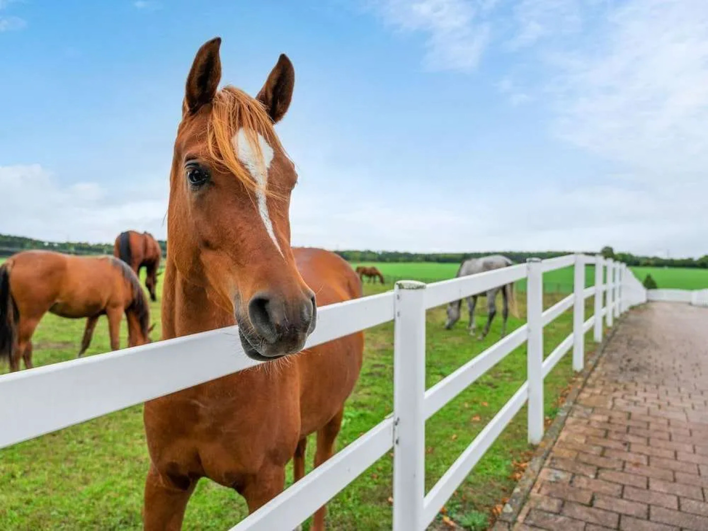 Apartment in Baden-wurttemberg