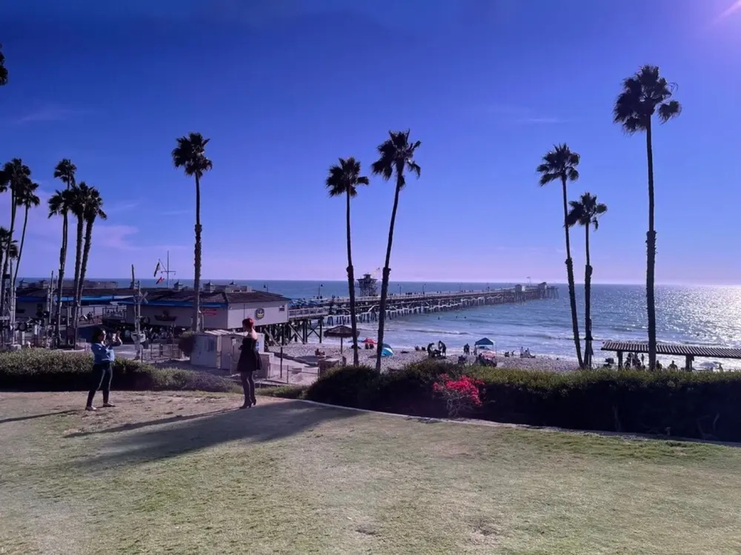 Walk to Beach - King Apt In 1 Area - AB