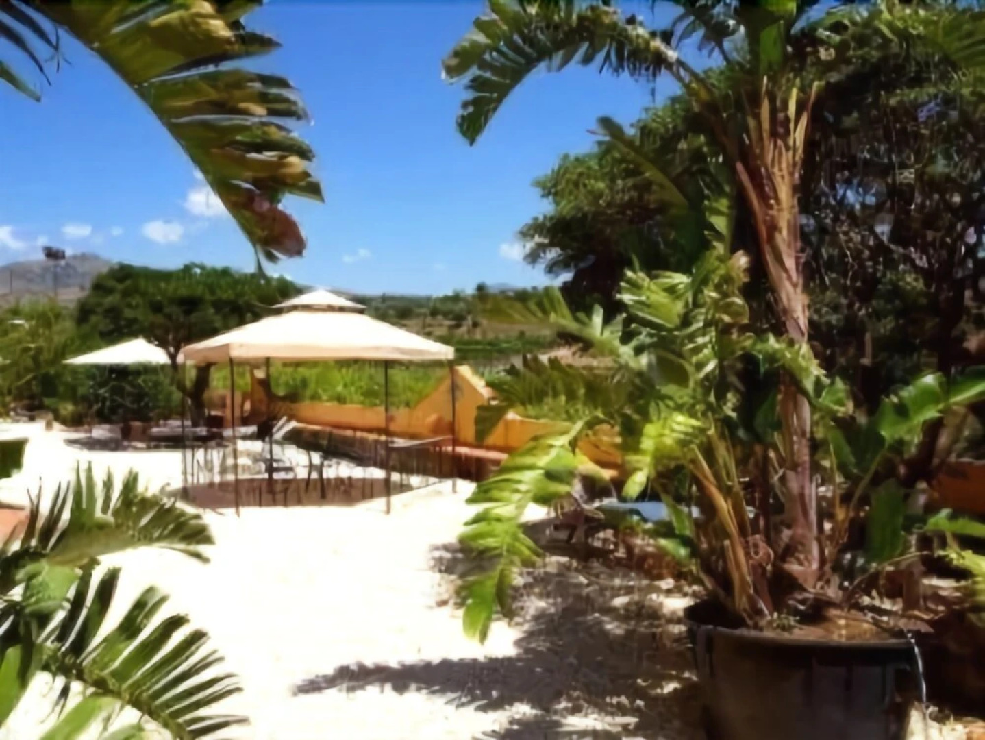 Oasi Del Fiumefreddo