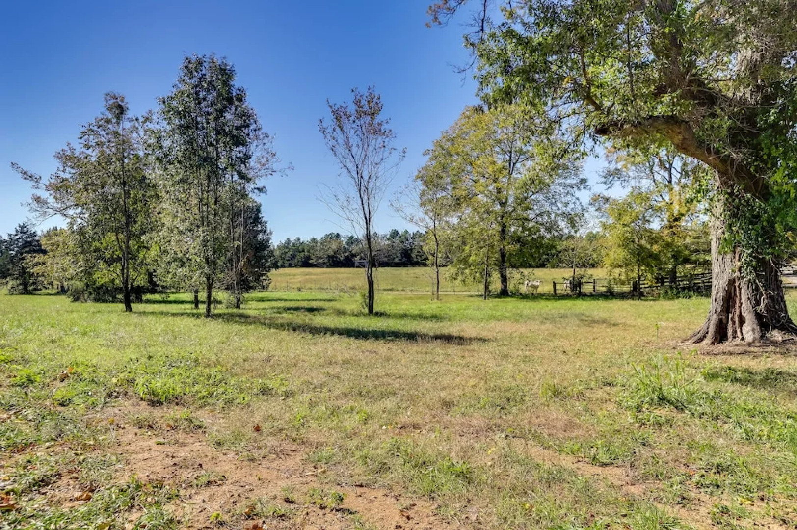 Rustic Caledonia Cabin Near State Parks & Boating!