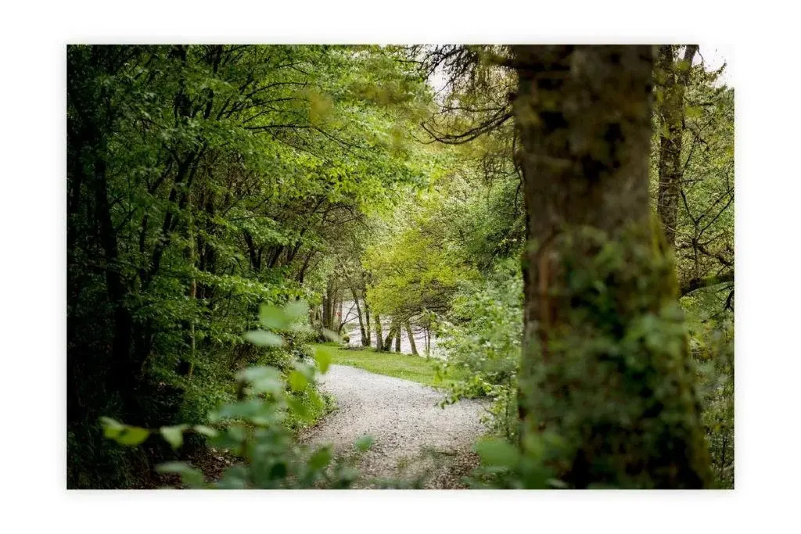 Les cabanes de Rensiwez