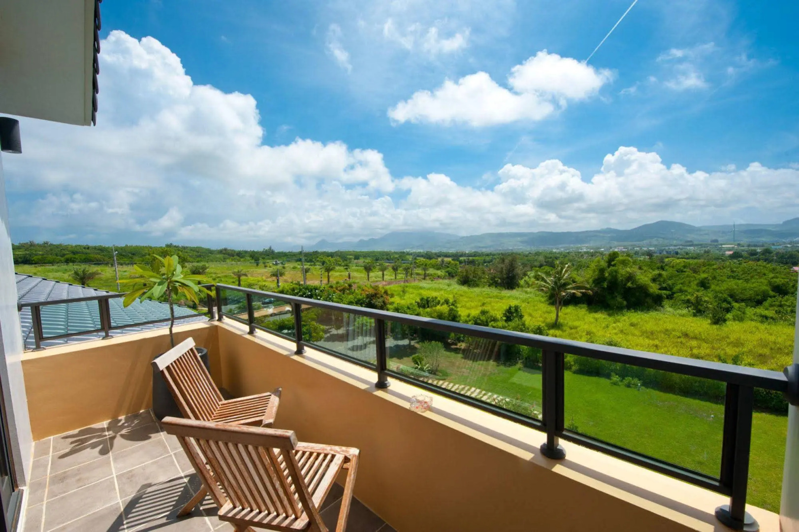 The Tree Bed and Breakfast