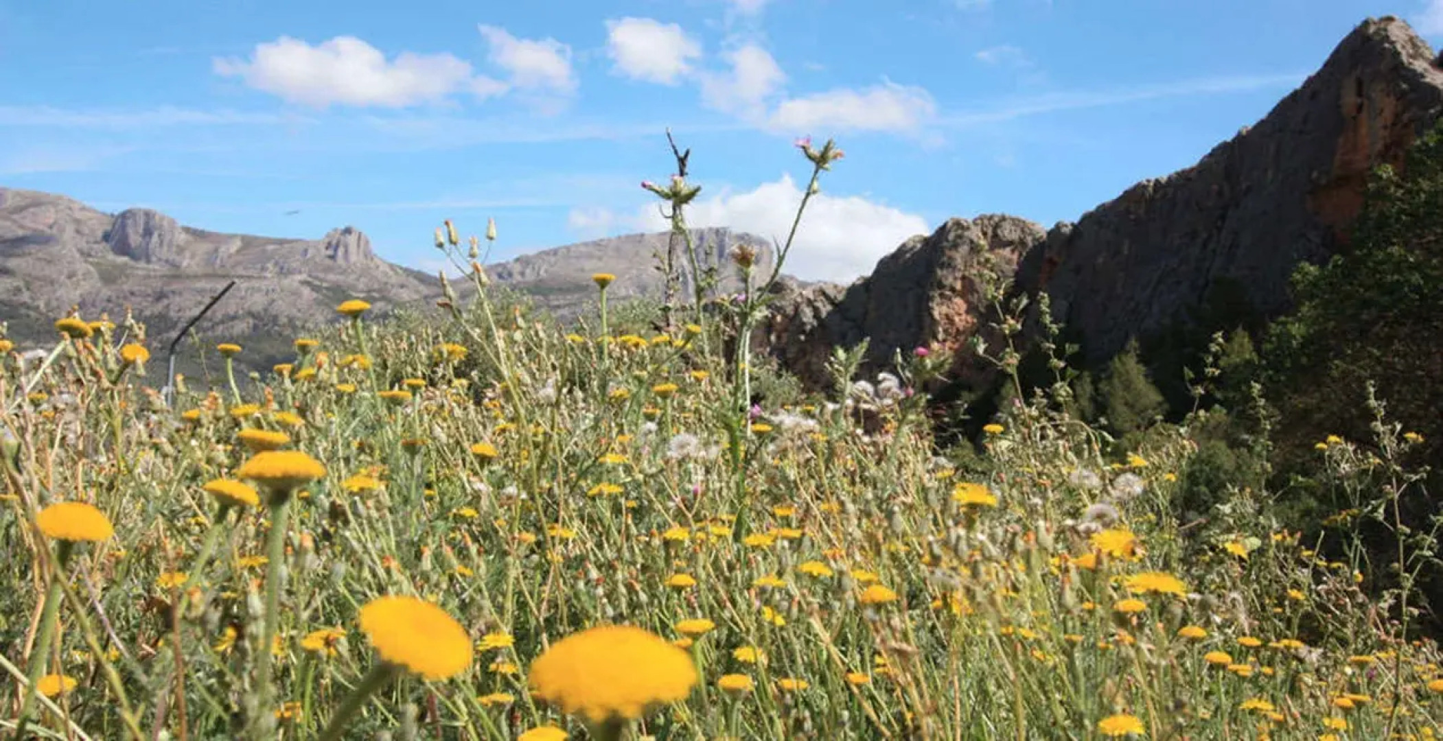 VIVOOD Landscape Hotel - Adults Only