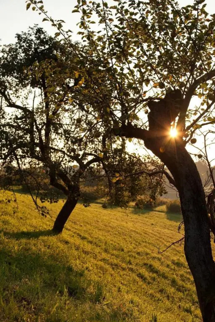 Gästehaus Biohof Leutschach