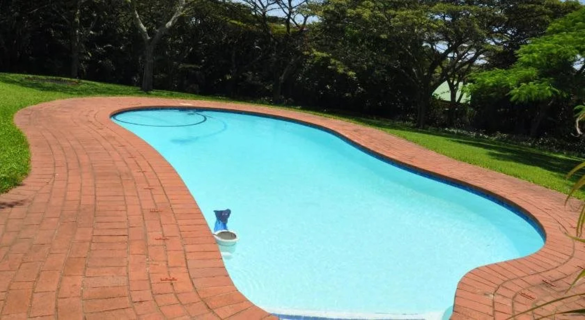 Birds of paradise B&B