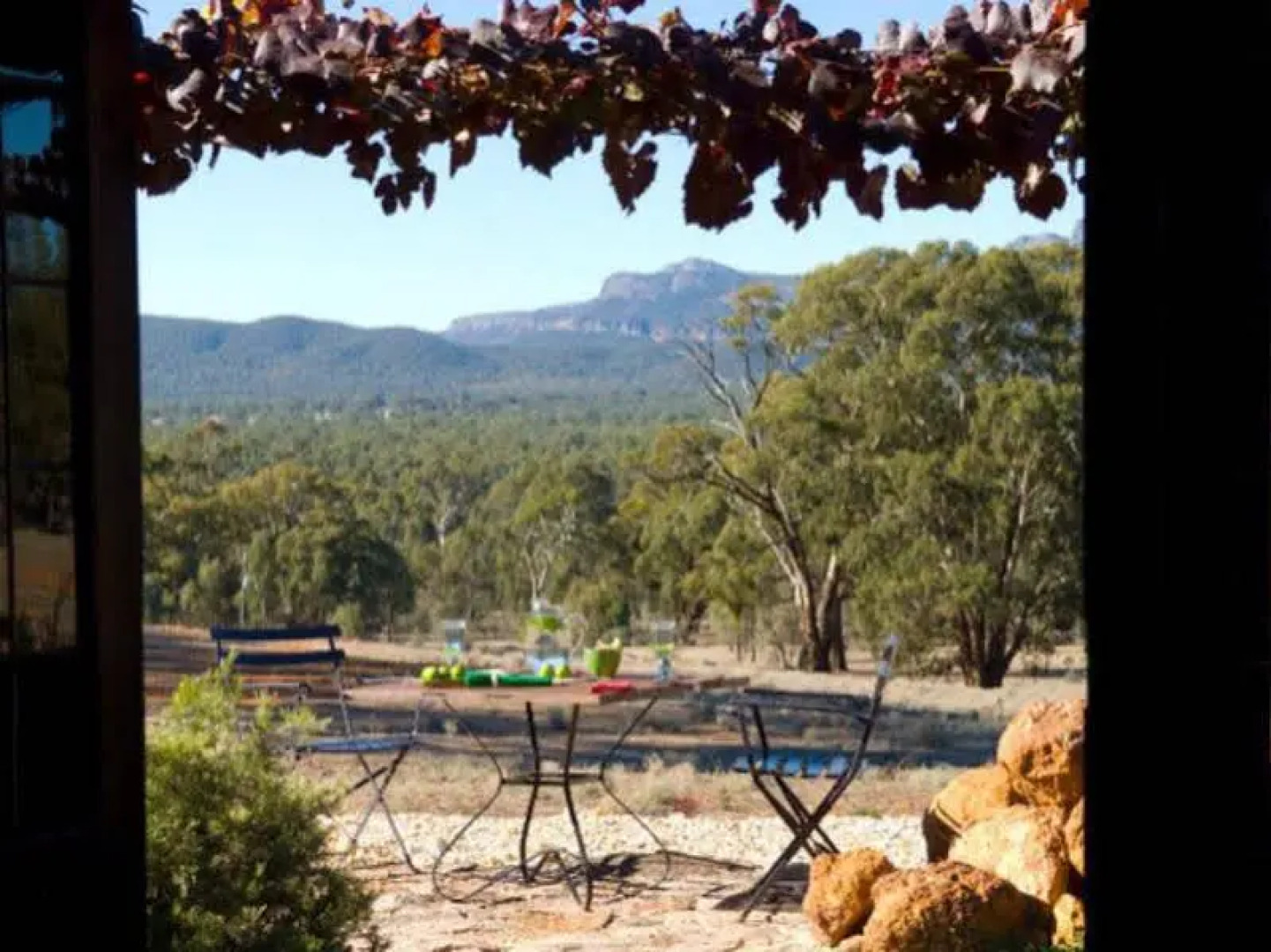 Kangaroos In The Top Paddock