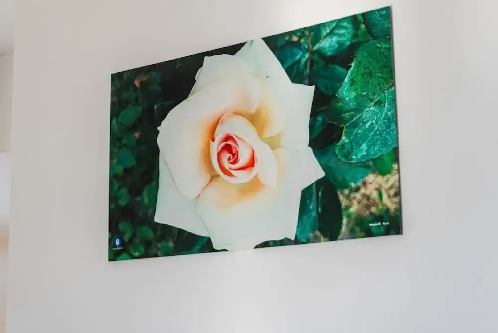 Stylish Studio With Spacious Balcony -trendafili