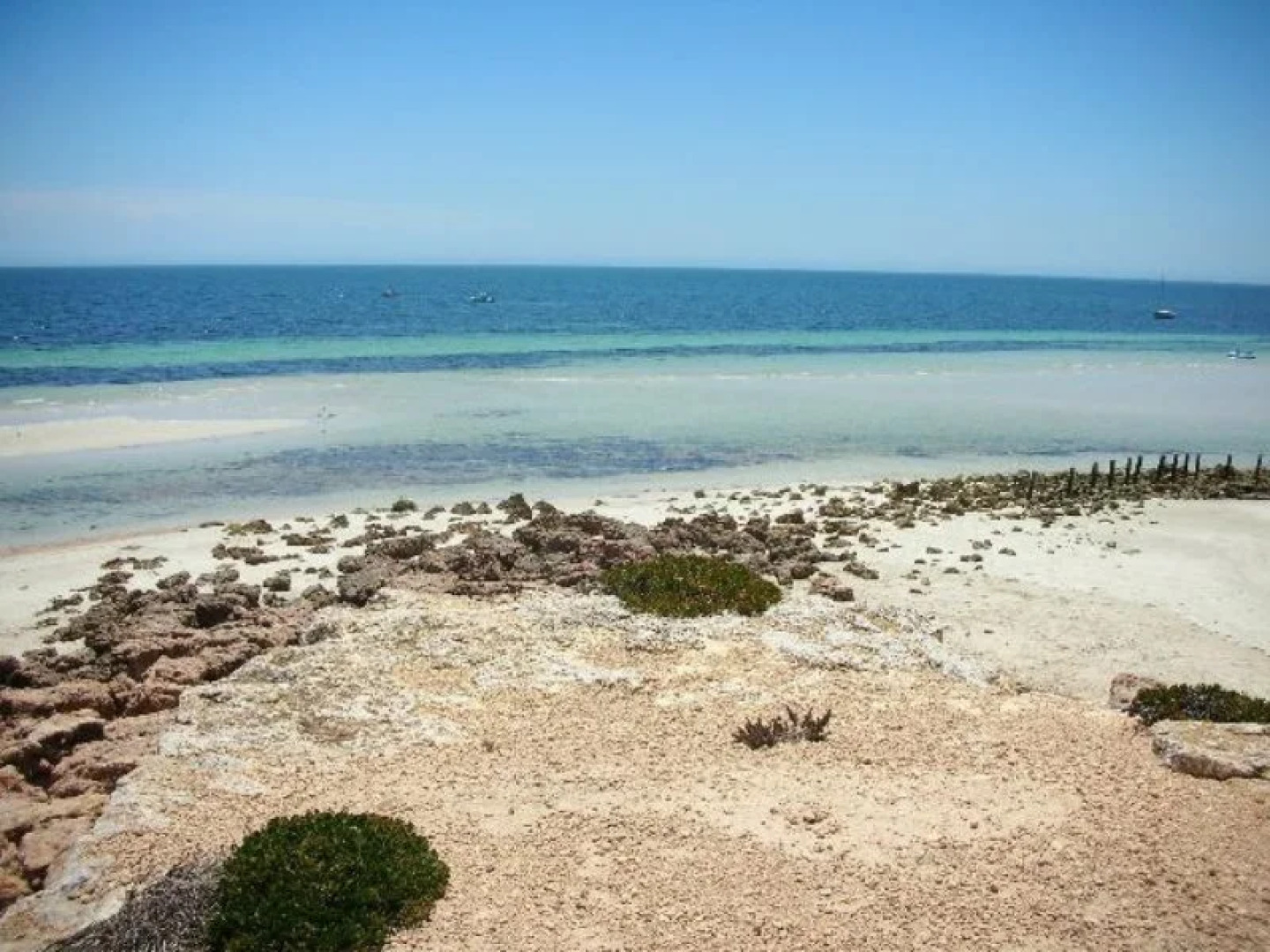 Amelias Bed and Breakfast