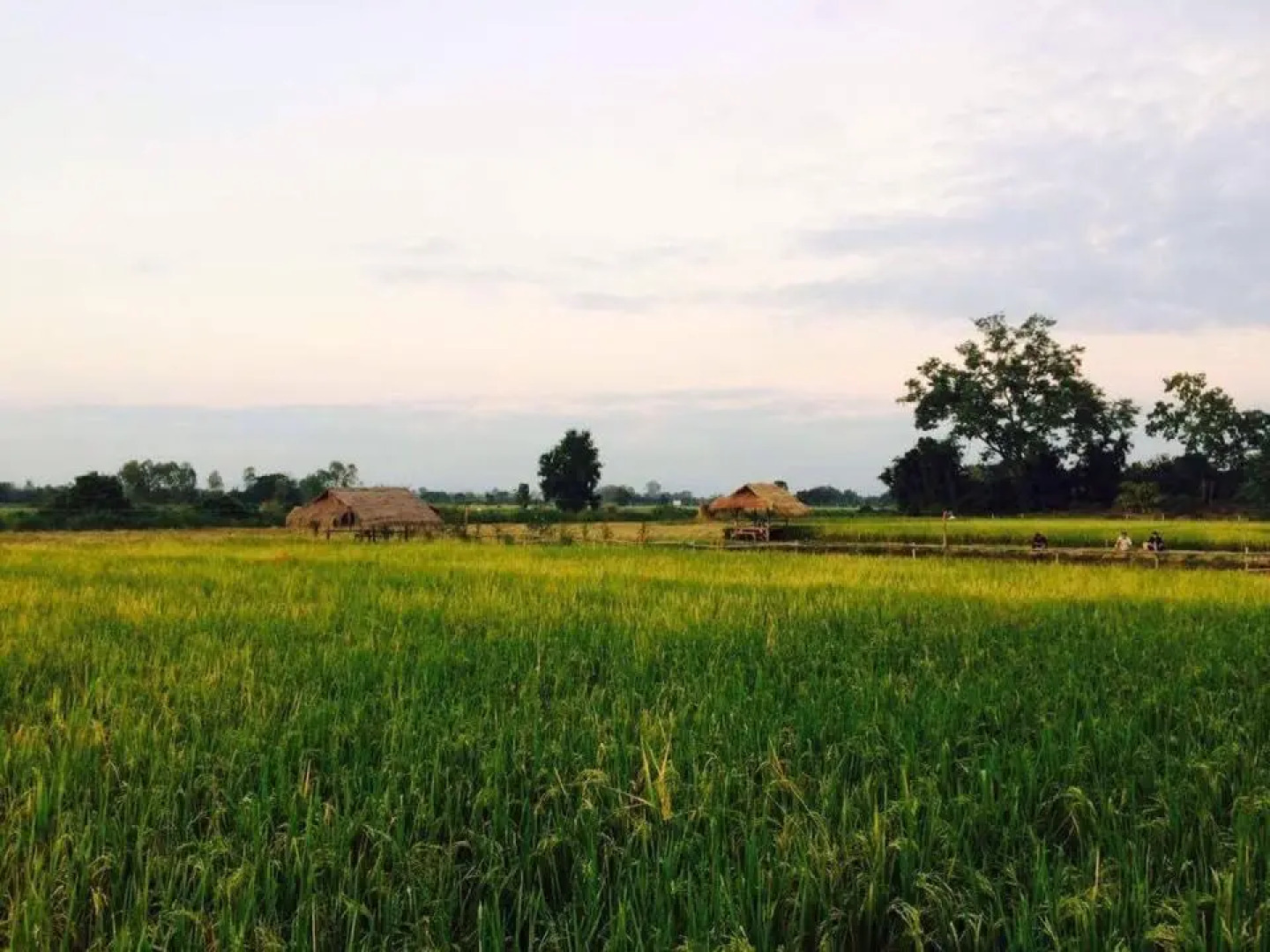 The Vacation Baanraipaina