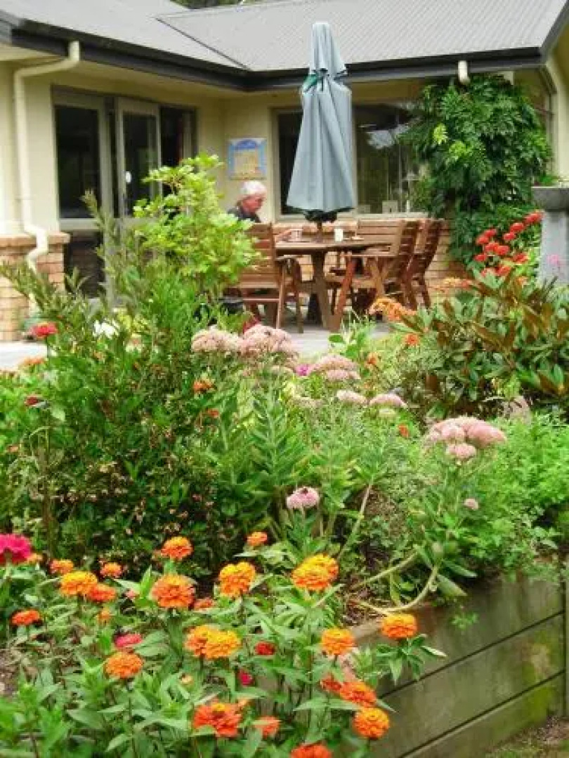 Maple House Homestay BB