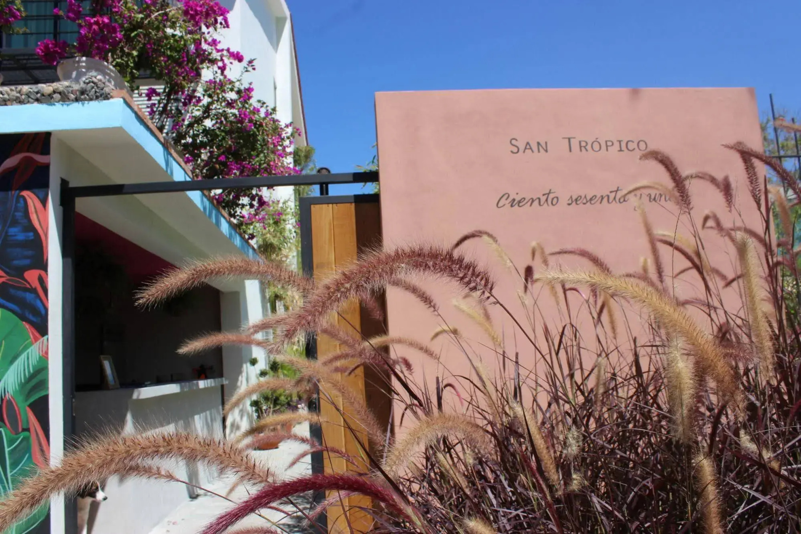 San Trópico Boutique Hotel & Peaceful Escape