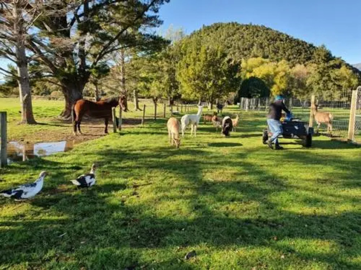 Oasis Motel & Holiday Park