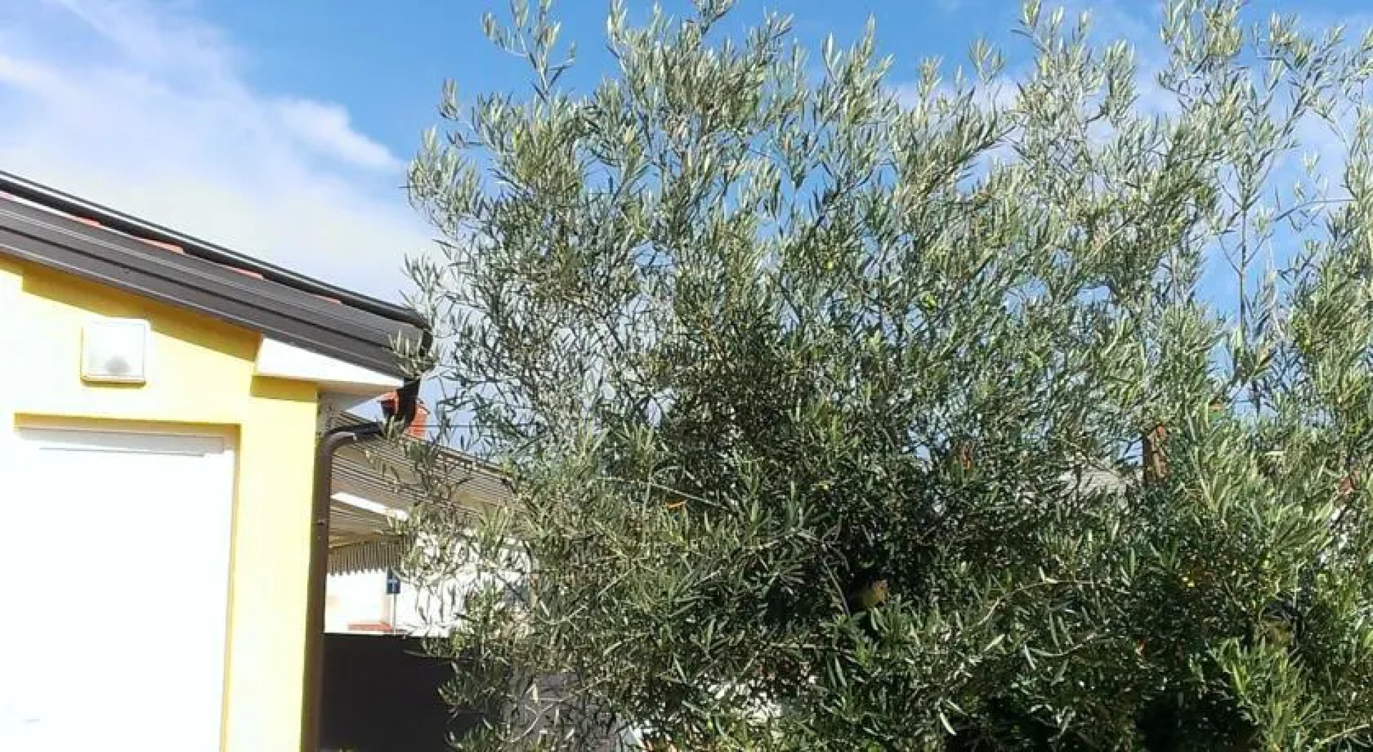 Apartments Spess Opatija