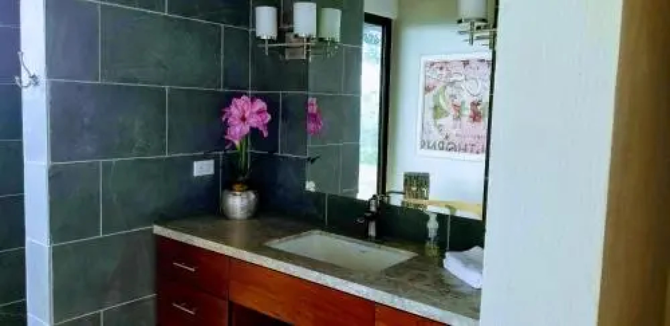 Whale's Tail Ocean View Luxury Suites