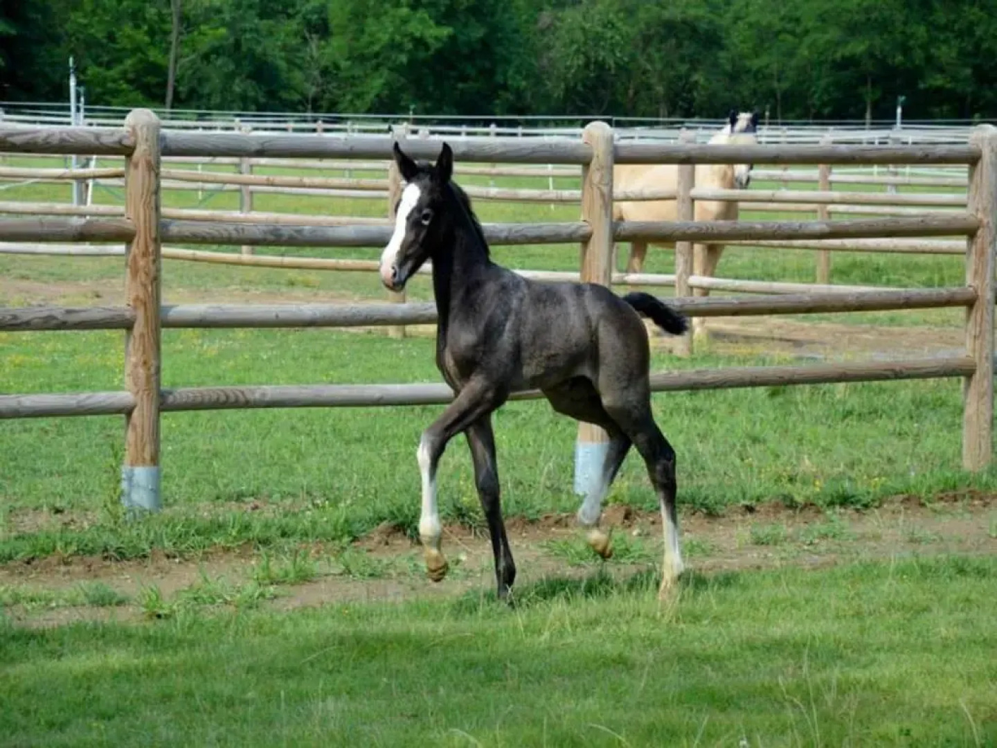 Agriturismo Il Boschetto