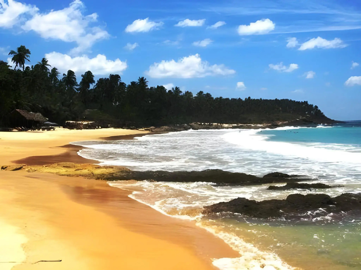 Palm Paradise Cabanas & Villas Beach Resort Tangalle