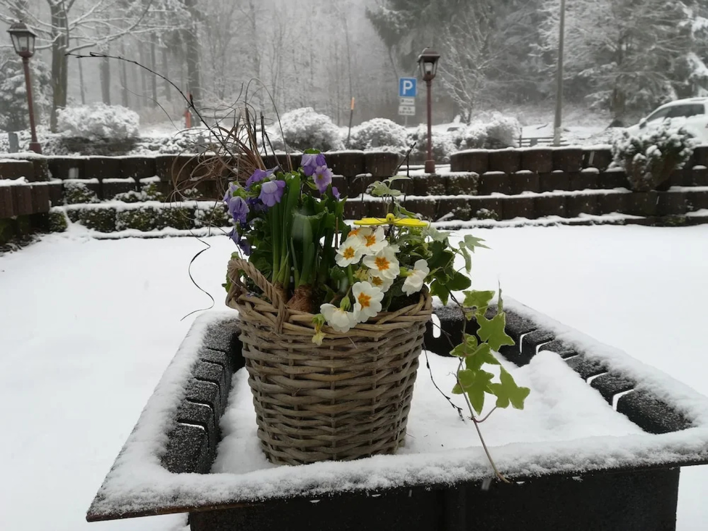 Berghotel Friedrichshöhe