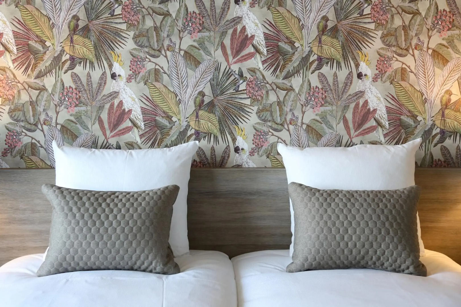 Van Der Valk Avifauna