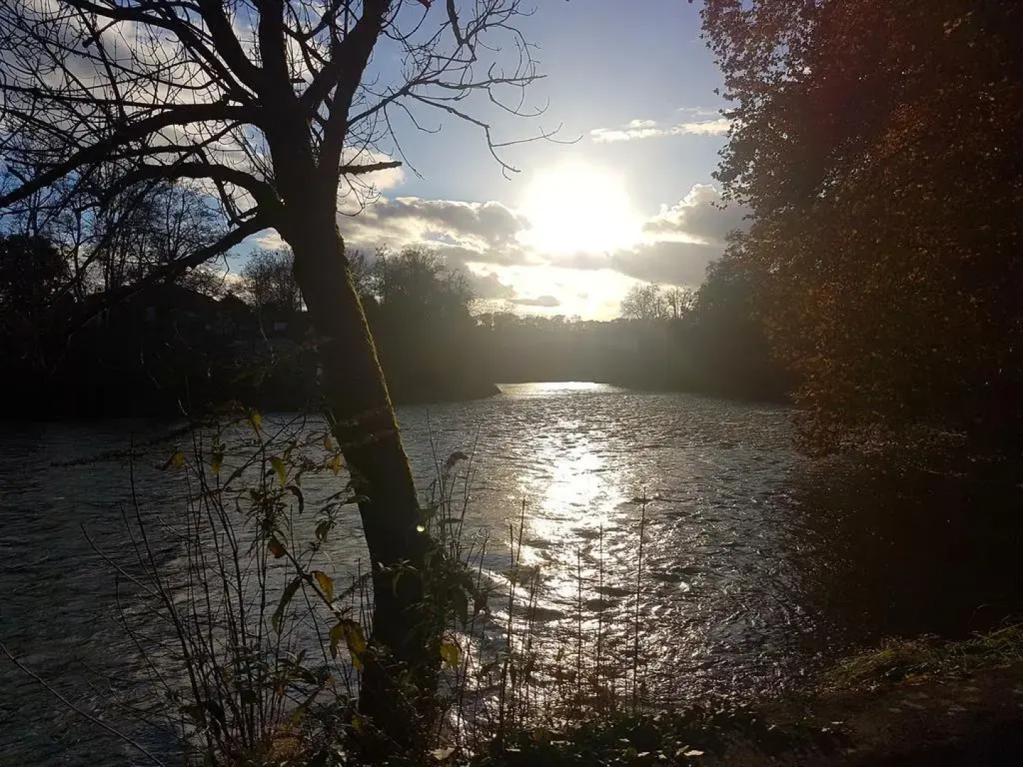 La Maison Aux Volets Verts