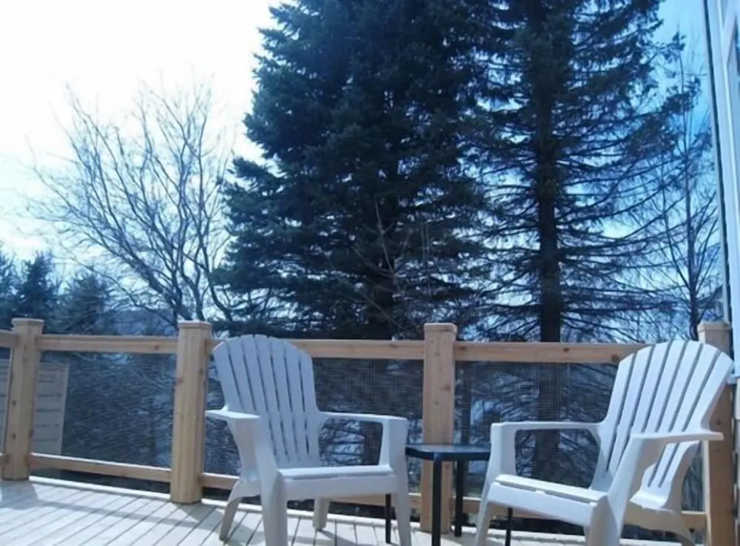 Rustic Urban Retreat