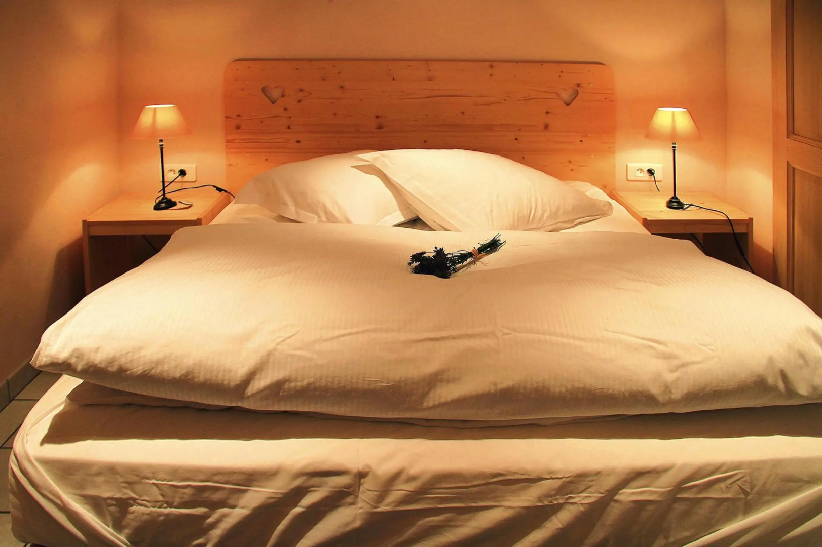 Flat in Alsace Near Vosges Nature Park