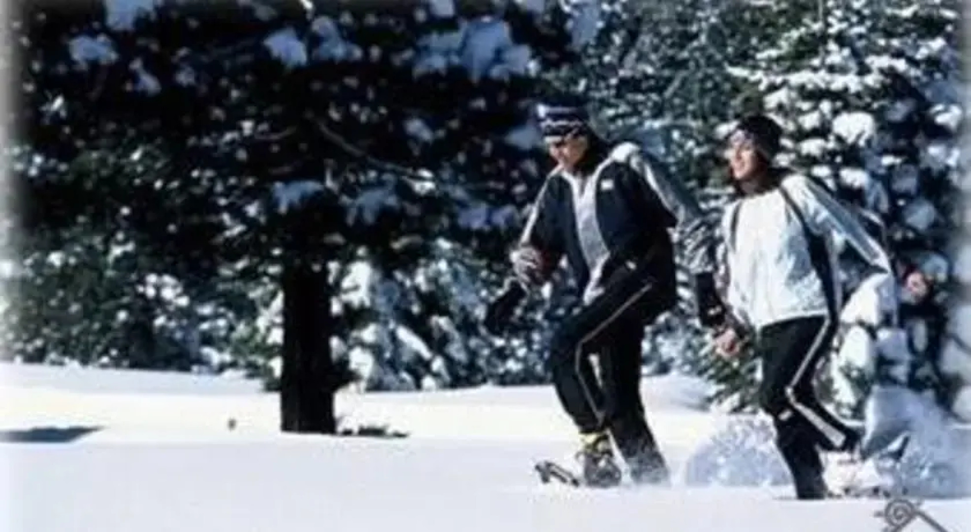 RedAwning Darling Delight Cabin