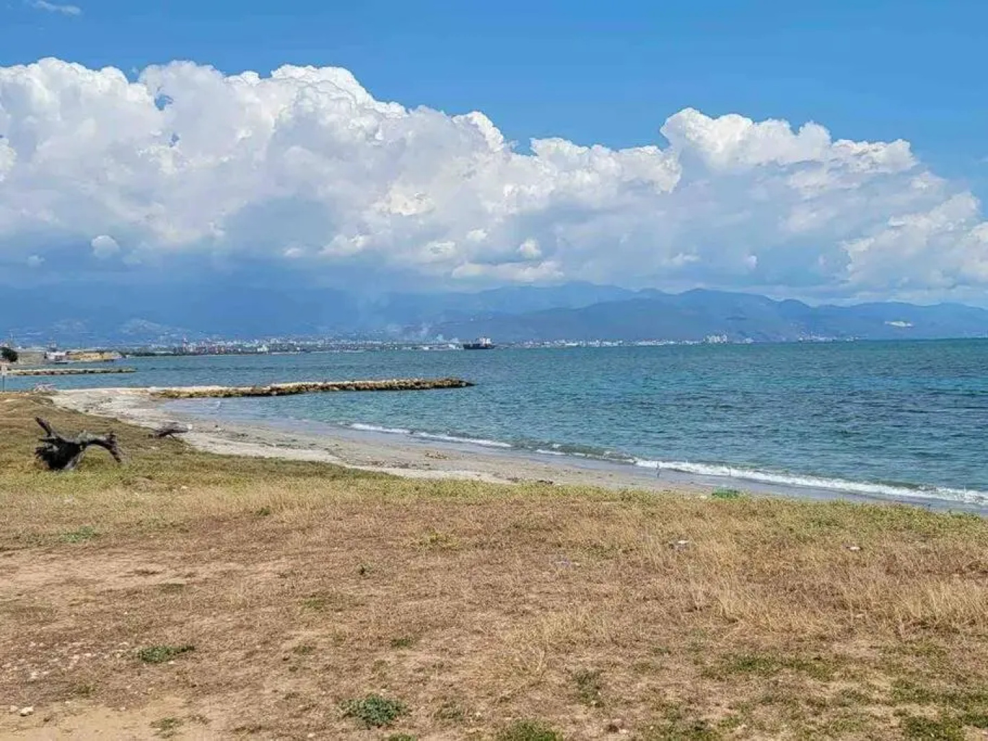 5 star by the sea (oceanview)
