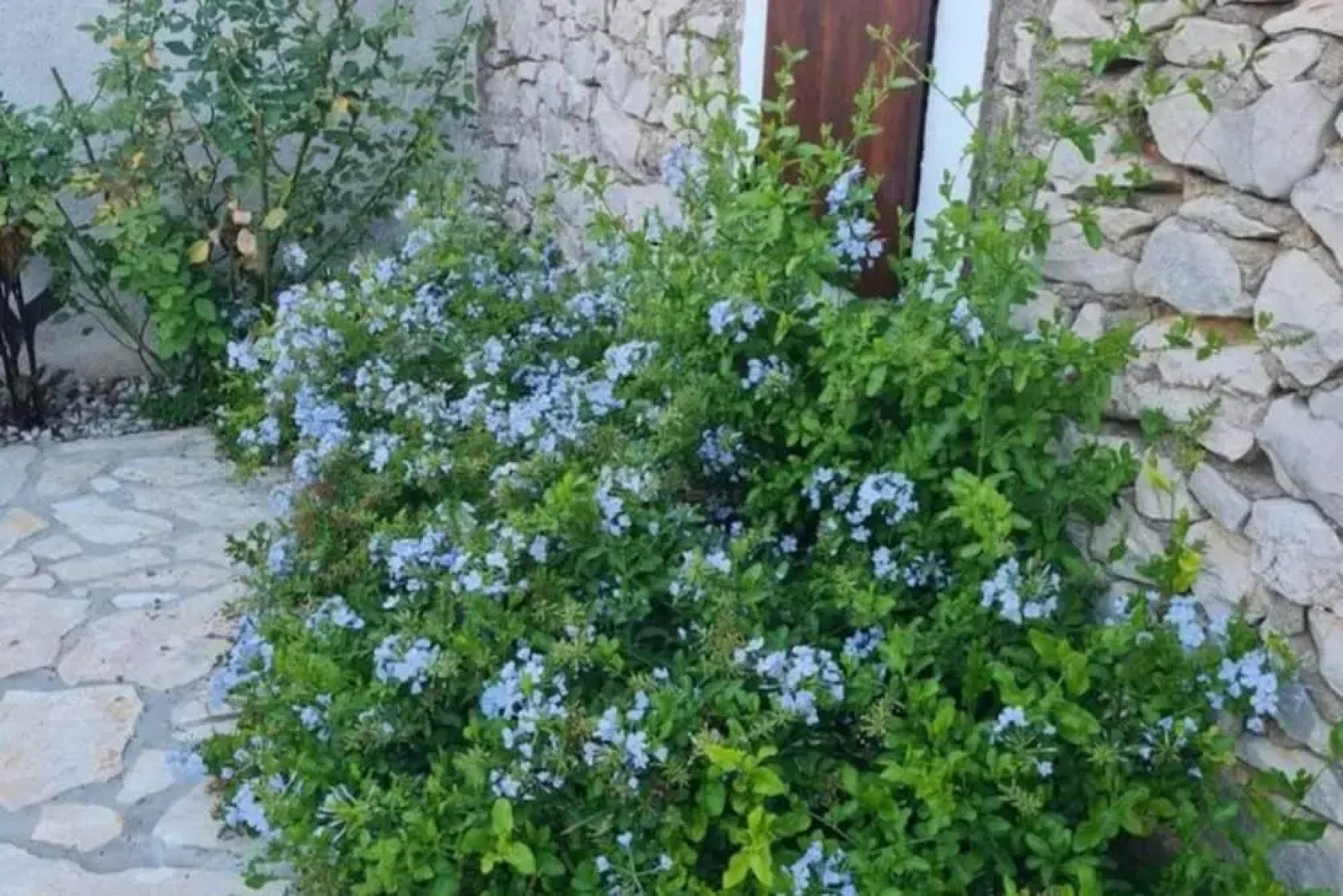 Home With Swimming Pool & Outdoor Kitchen