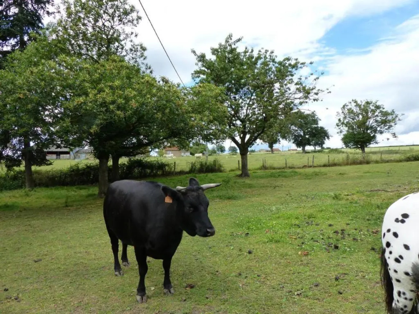 Gîte Saligny-sur-Roudon, 3 pièces, 5 personnes - FR-1-489-121