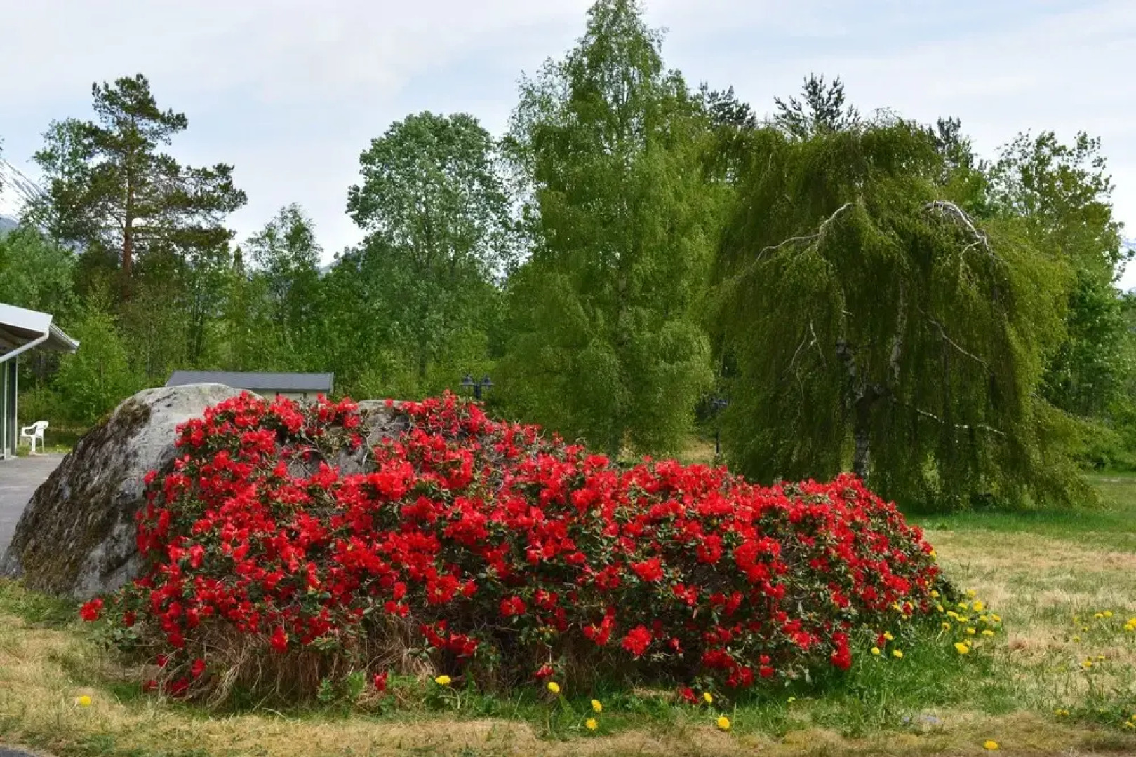 Isfjorden Turisthotell & Motell