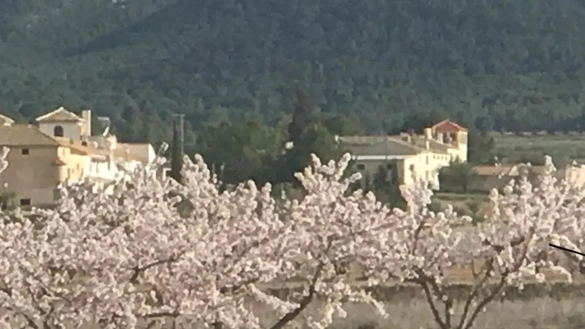 Cortijo de los Castellanos