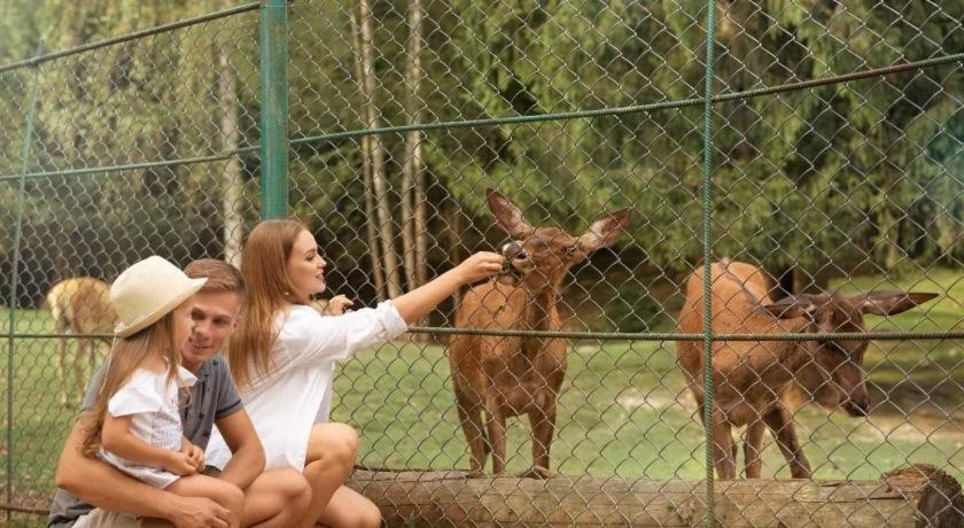 Медвежья Гора