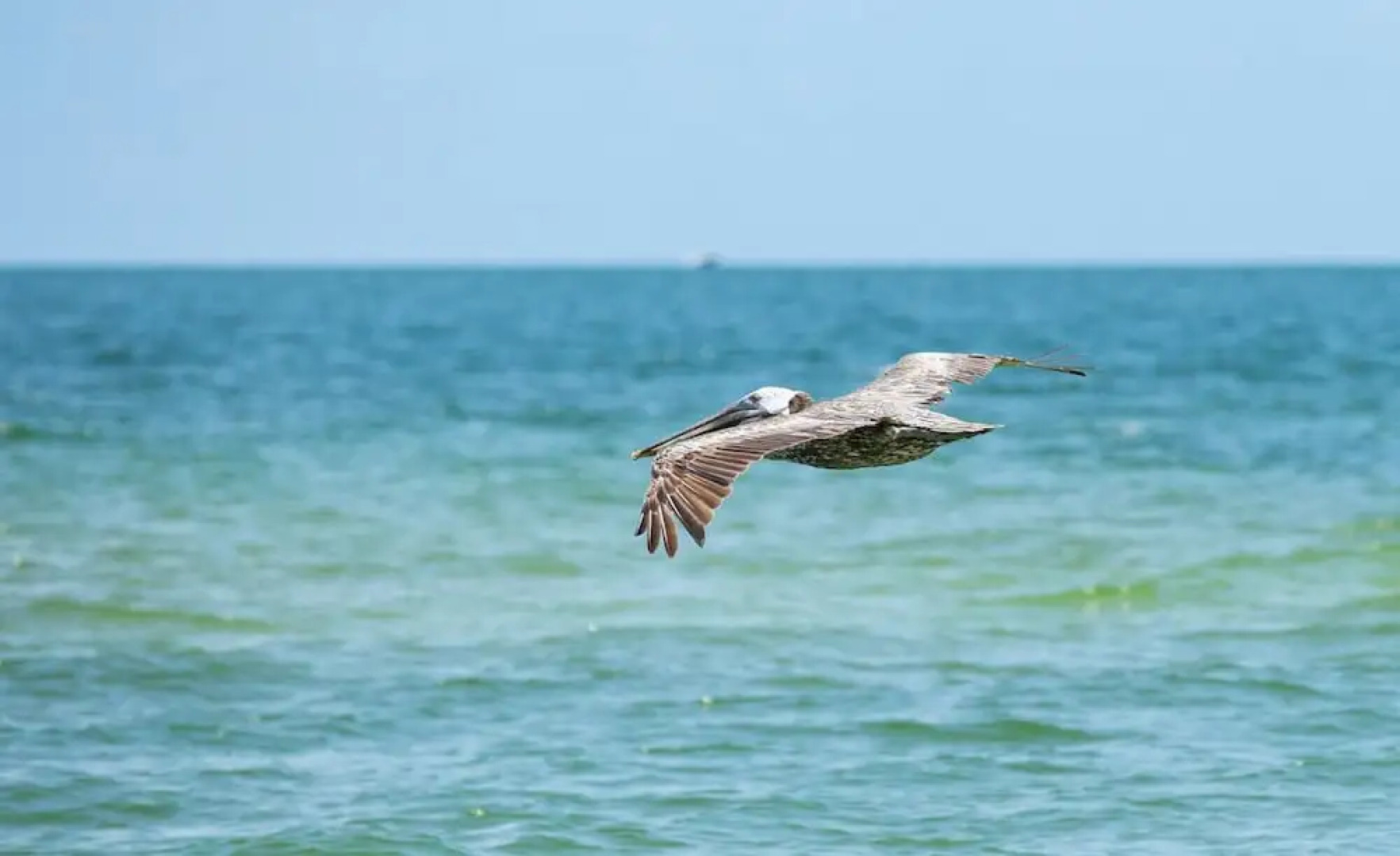 Sardinia Vacation Rental