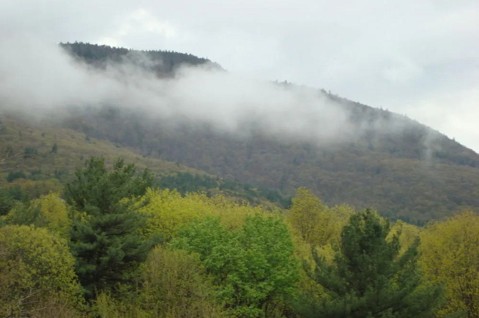 The Clark House Bed and Breakfast
