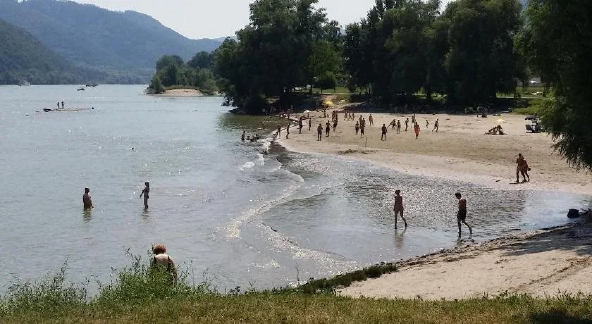 Donauwirt Hotel - Restaurant