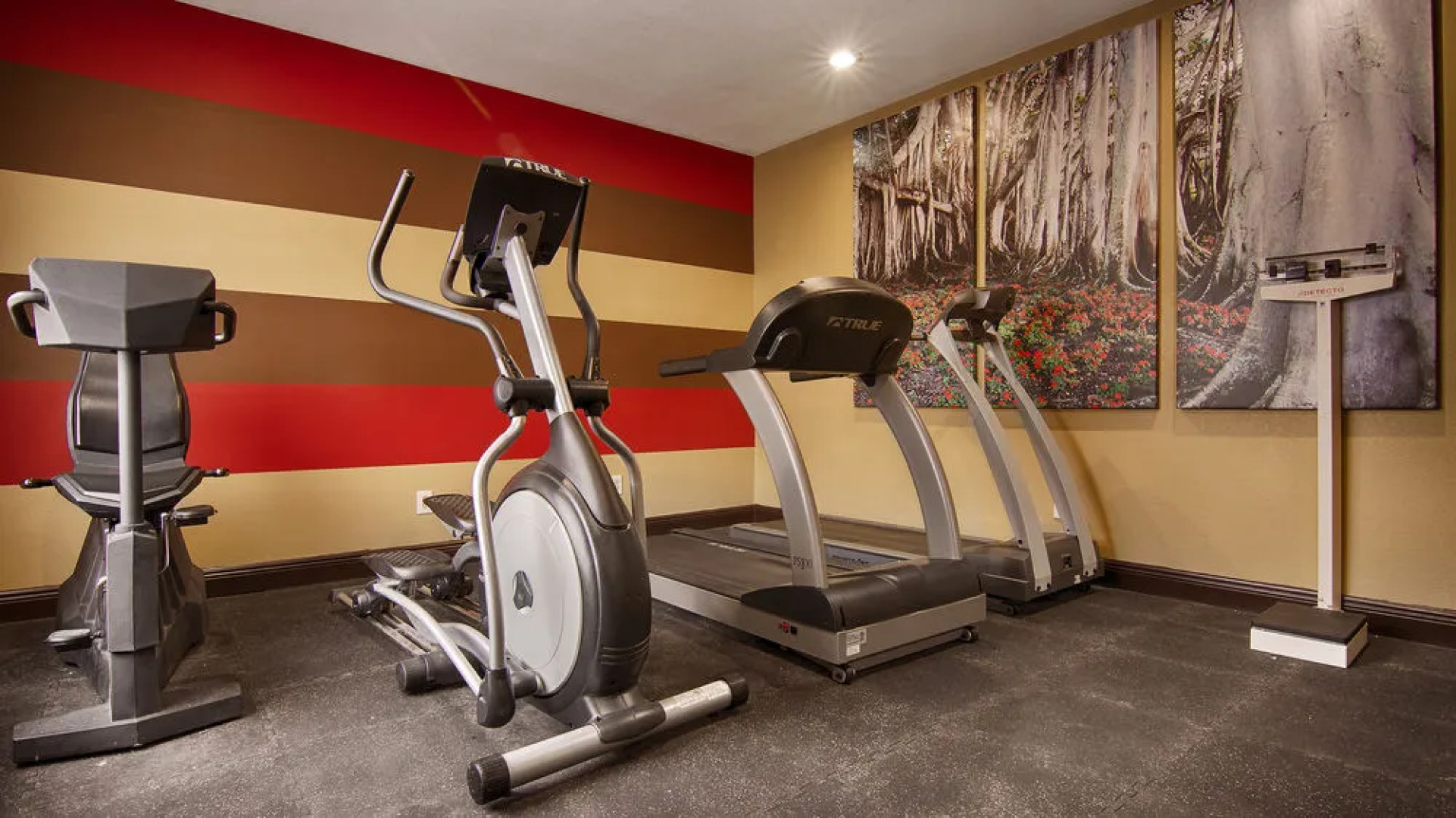 Best Western Executive Inn